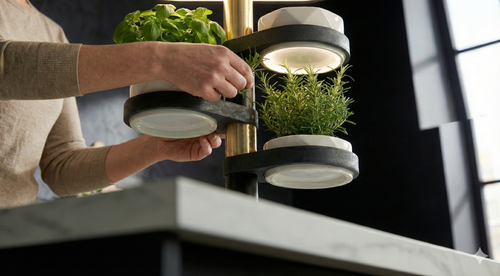 AuraGrow: Pirinç Detaylı Akıllı Katlı Mutfak Bahçesi