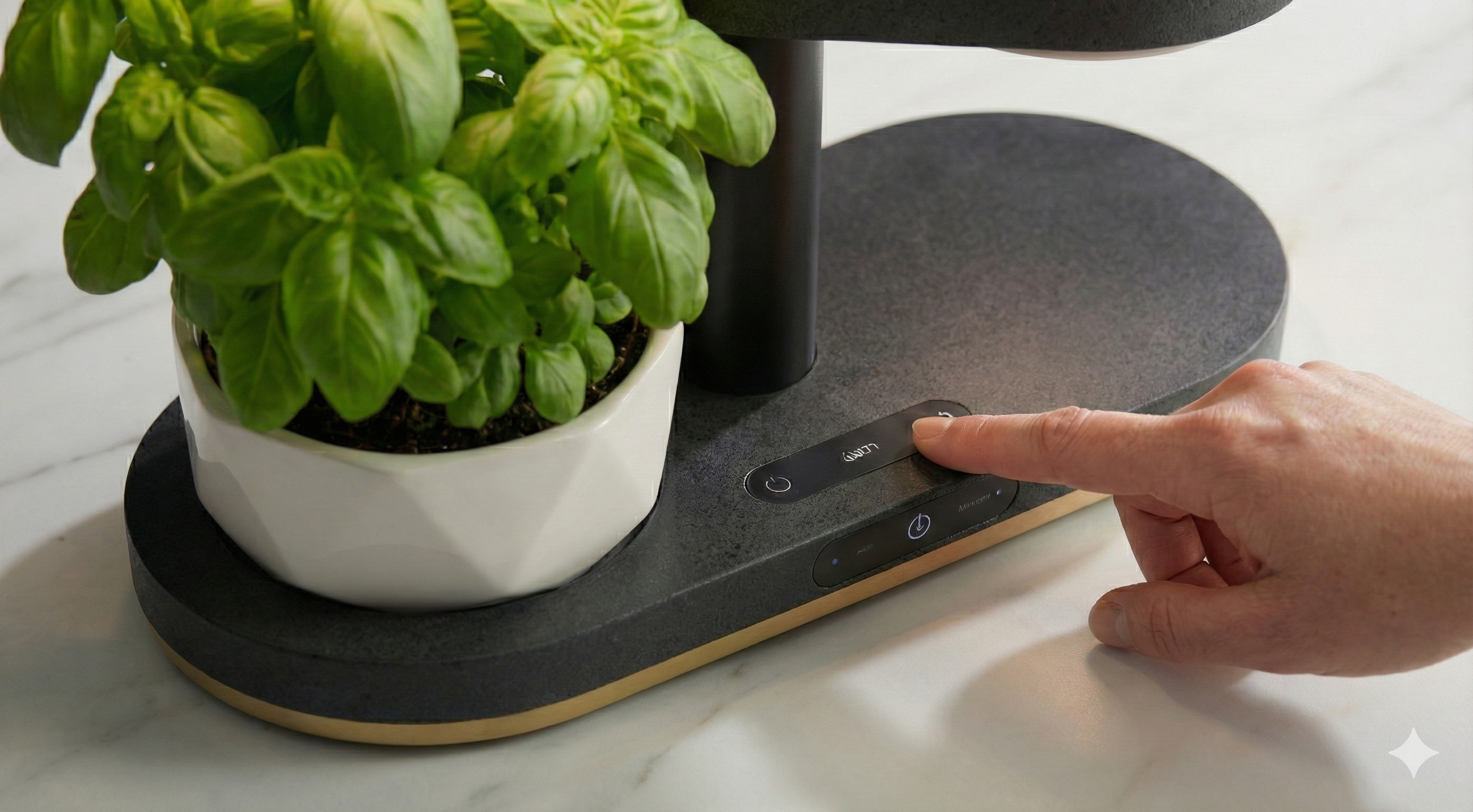 AuraGrow: Pirinç Detaylı Akıllı Katlı Mutfak Bahçesi